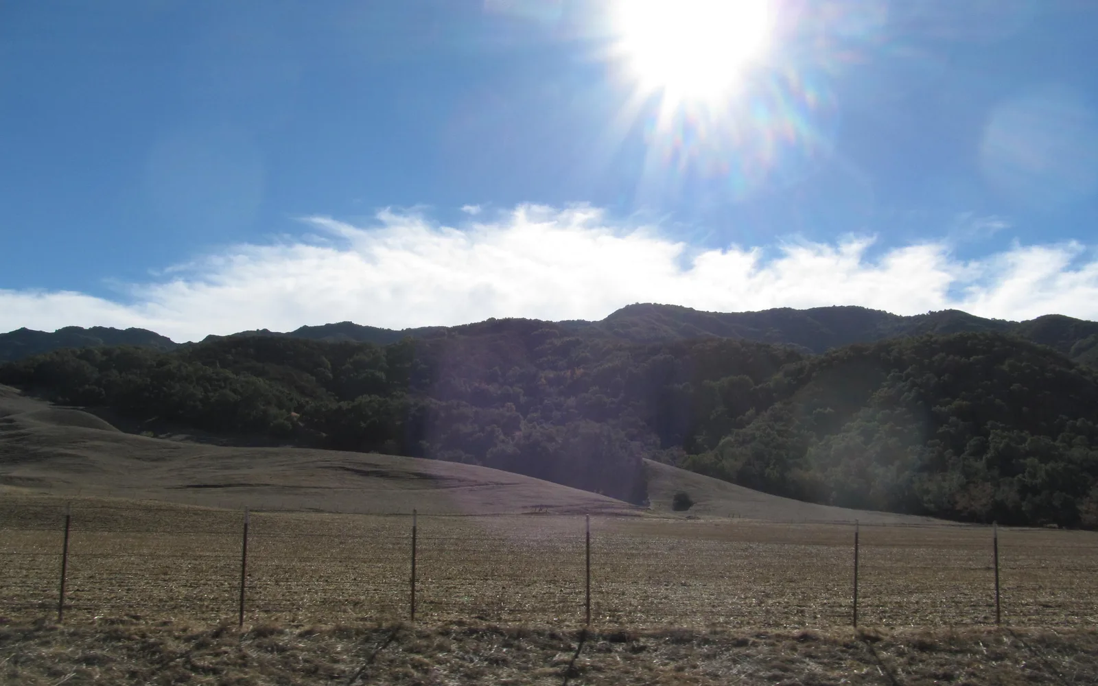 Rolling hills and farmland along Alisal Road in Santa Barbara County, California, with fenced fields and woodland